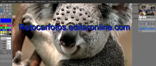 Editores online gratis en idioma Español