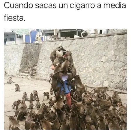 memes