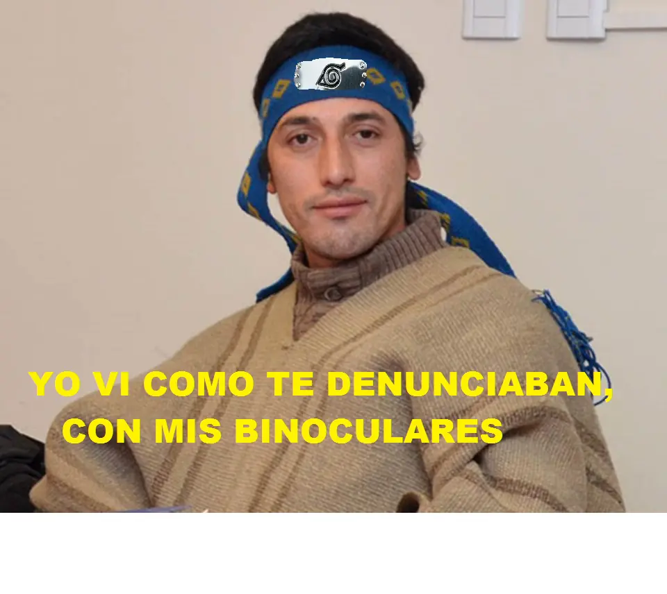 Los "mapuches" no existen