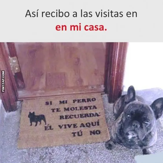las mejores imagenes
