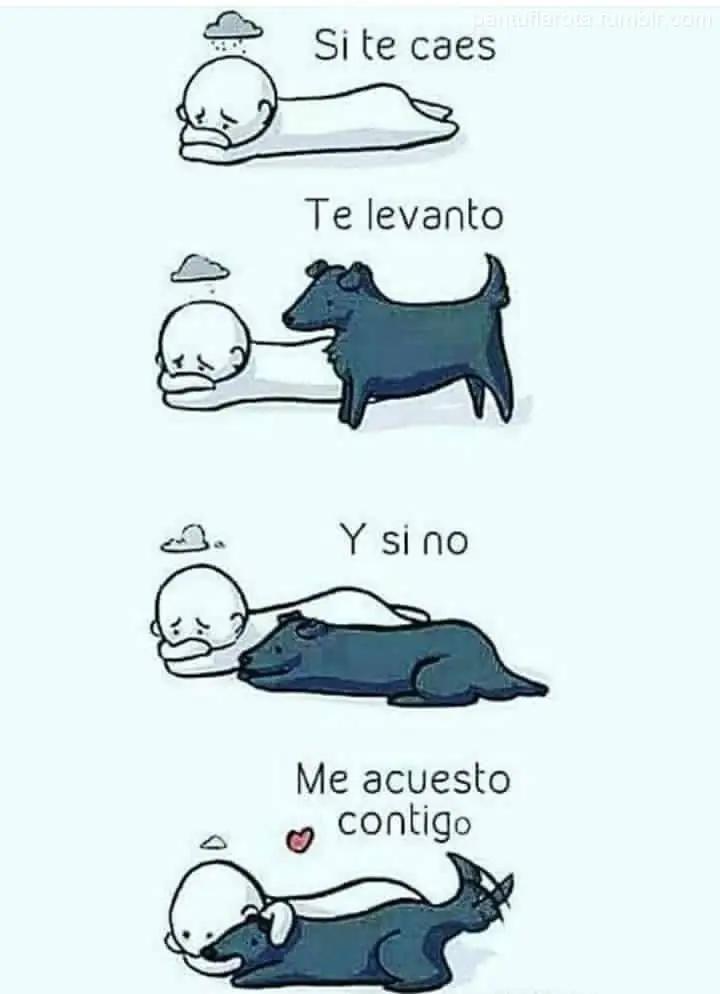 taringa