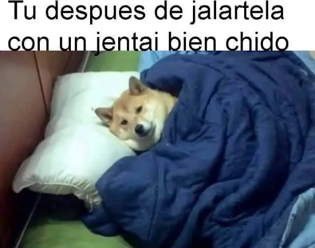 Imágenes de humor nocturno parte 248