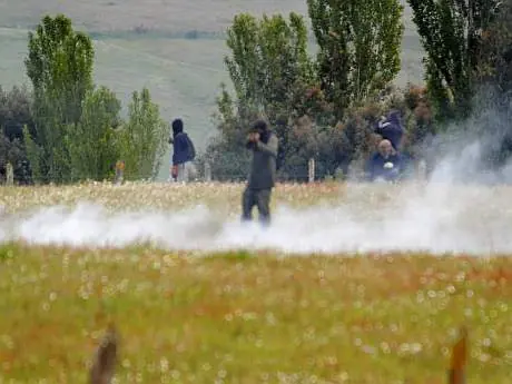Mapuche