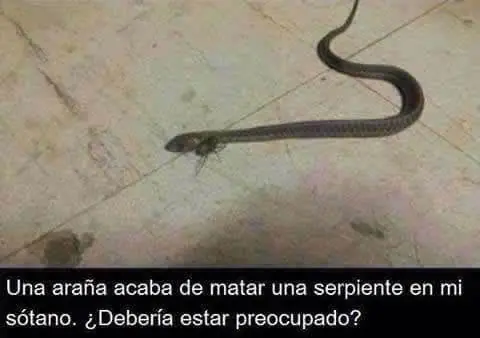 manejar