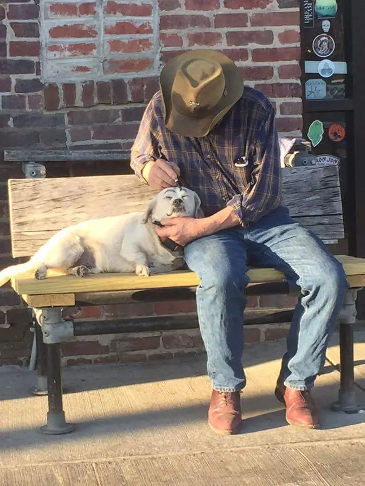 Imágenes de humor nocturno parte 247