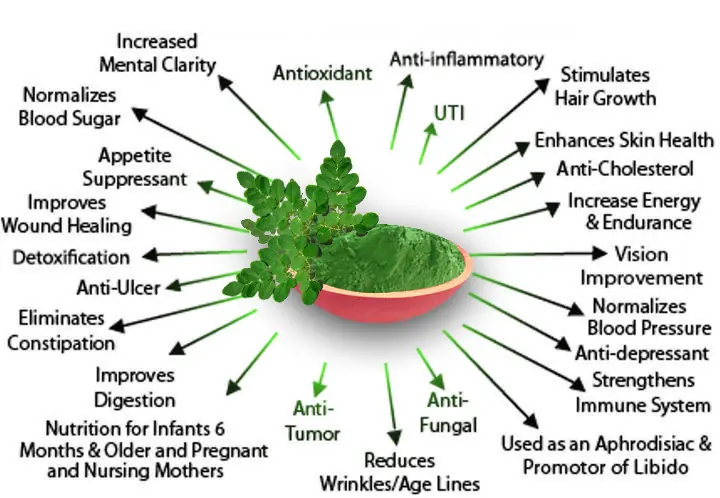 moringa