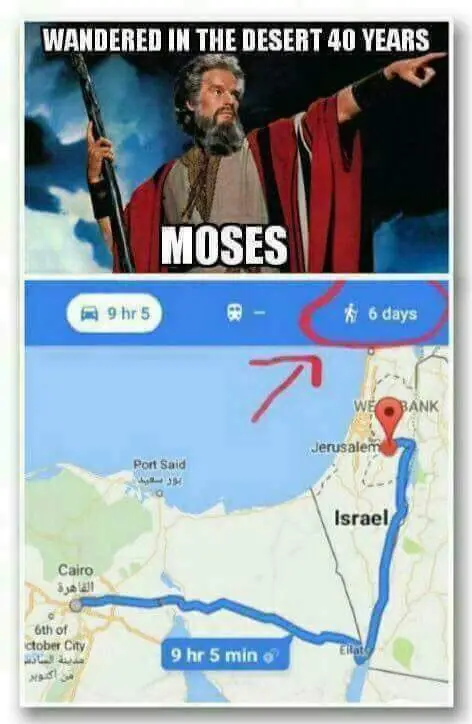 gracioso