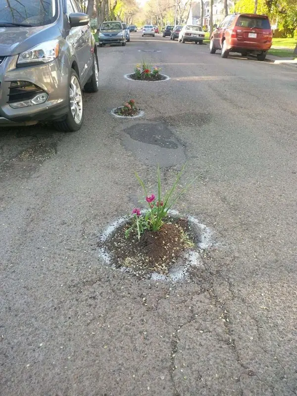 vecinos