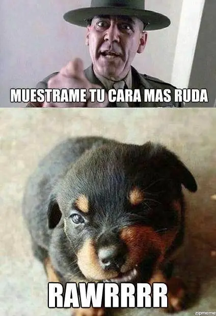 fotos