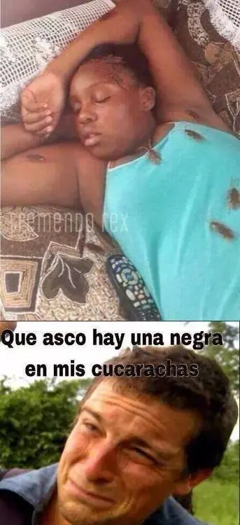chicas