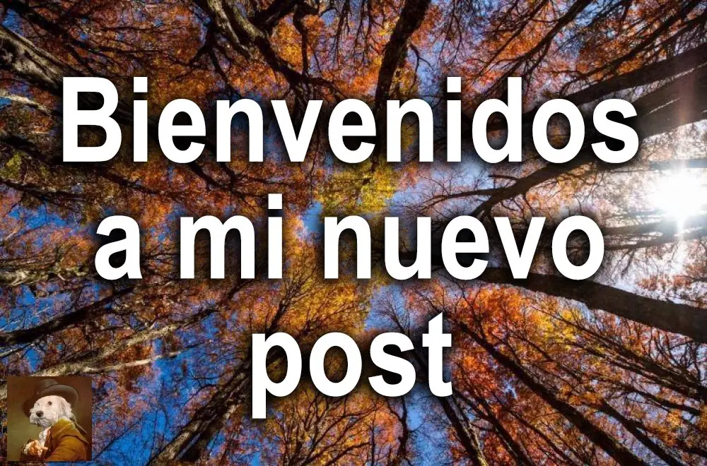 Una comunidad que revive un bosque incendiado