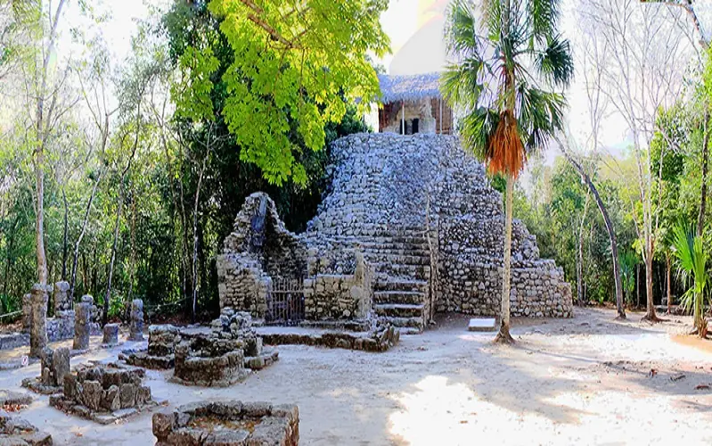 mayas