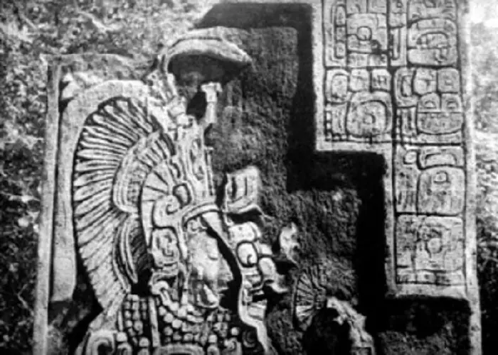 mayas