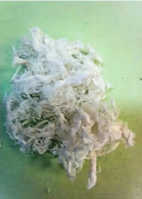 Cosas de las que casi todos han escuchado y pocos han visto