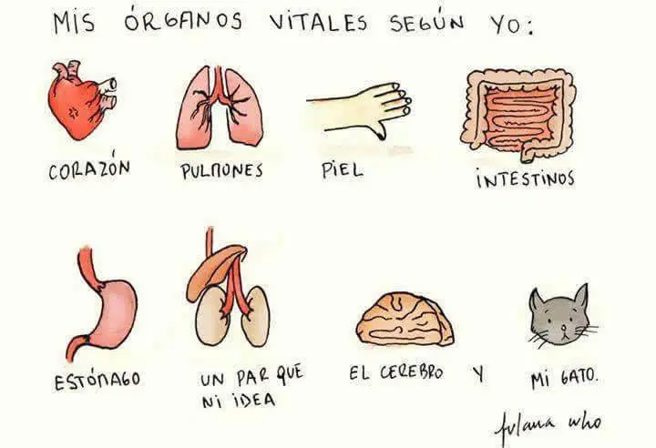 alegrar