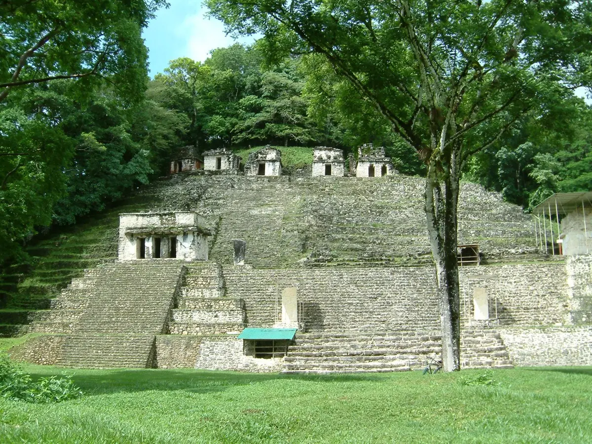 mayas