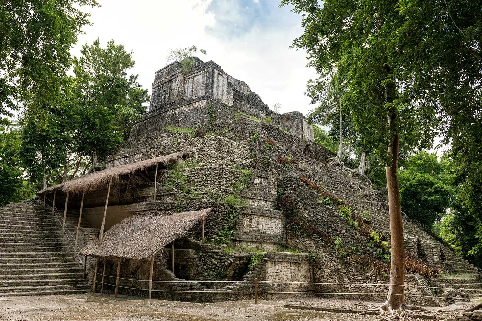mayas