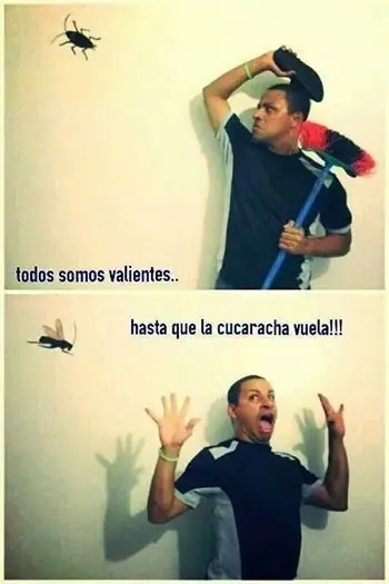 Top humor para los martes
