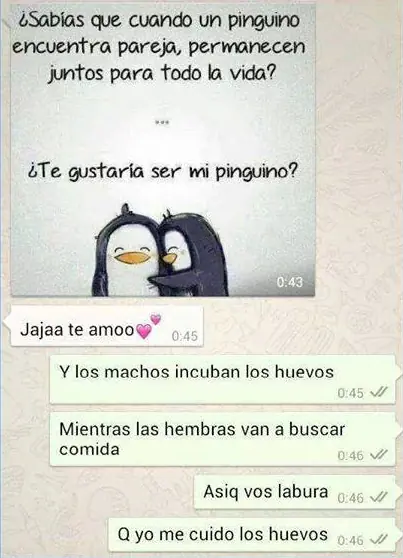 serenata77