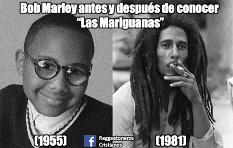humor taringuero