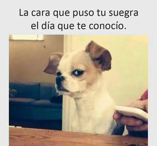 memes