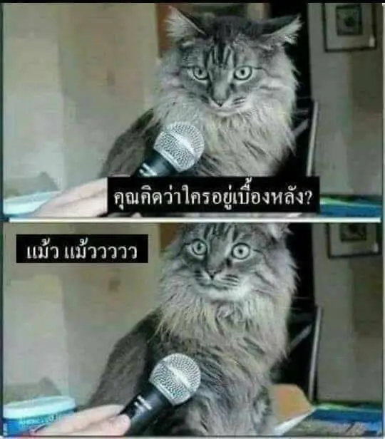 Memes tailandeses 2017