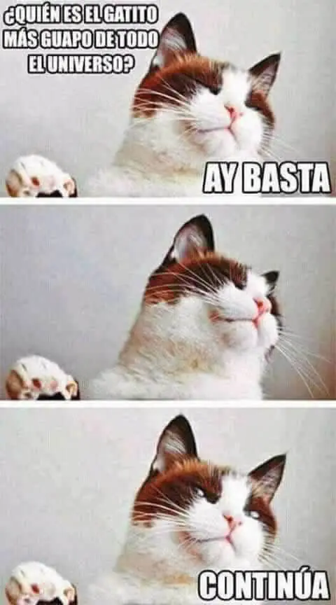alegrar
