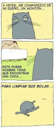 desalojado