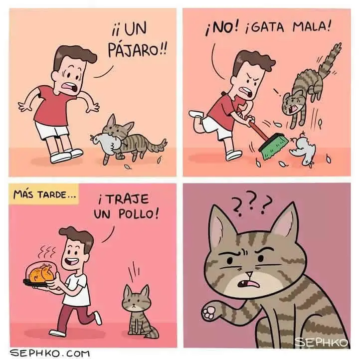 rato