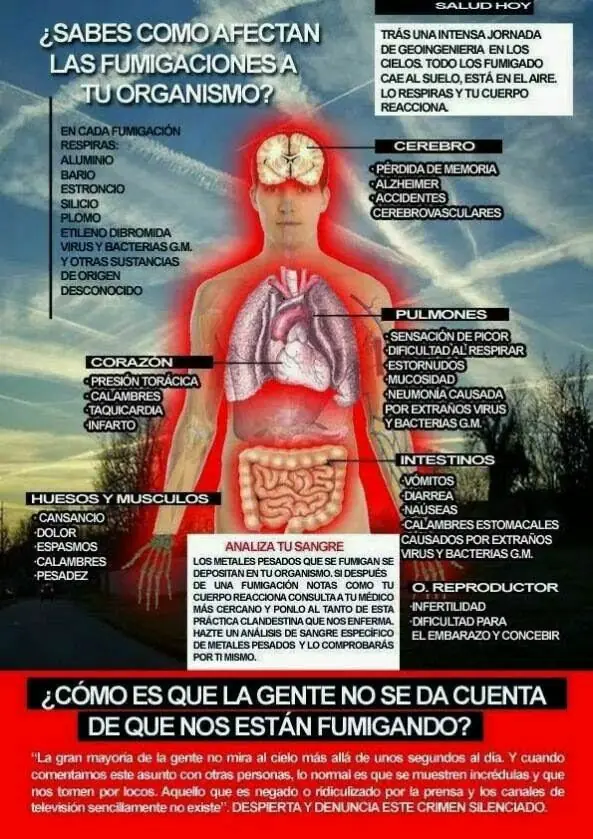 ¿Sabes como afectan las fumigaciones a tu organismo?
