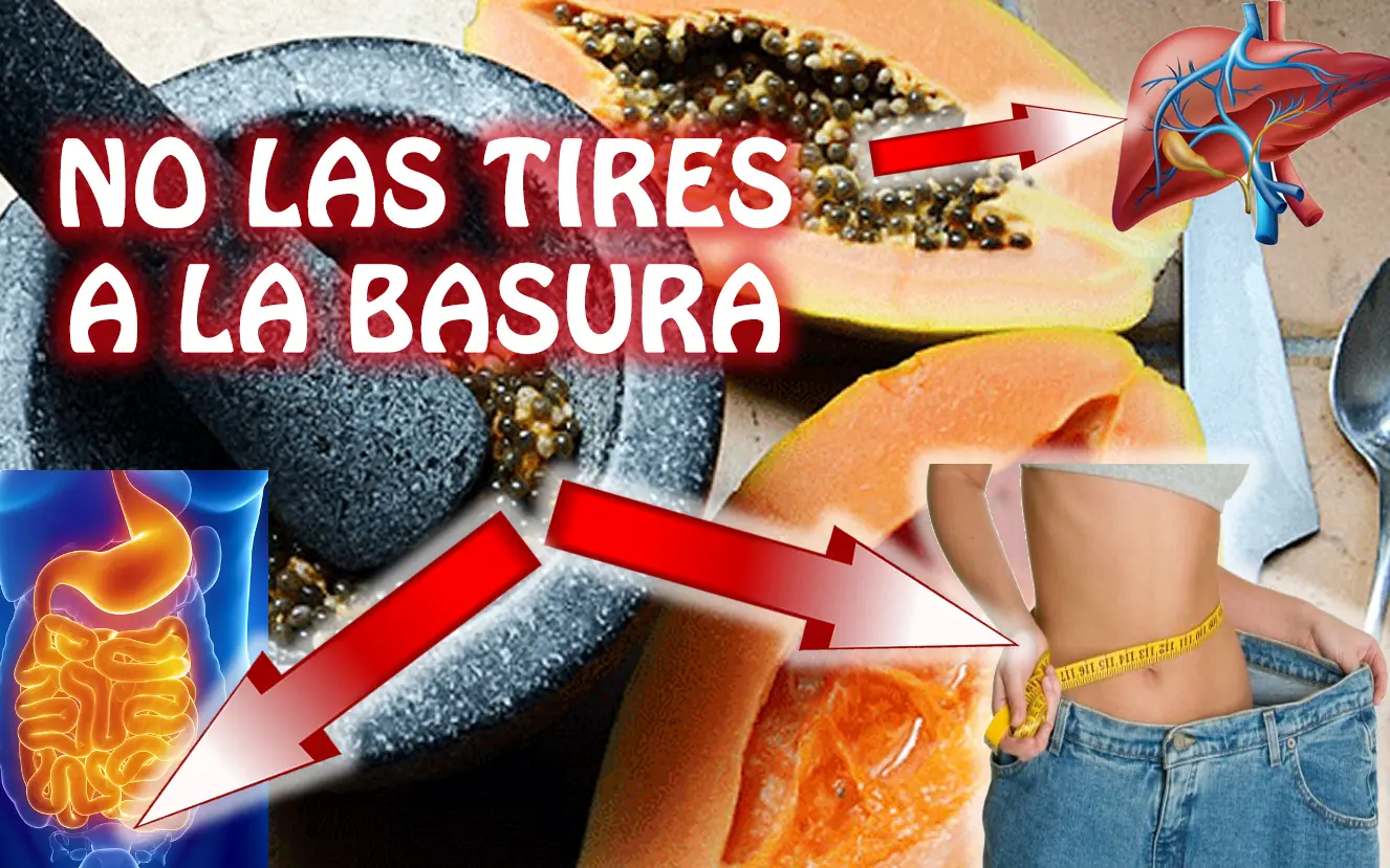 El tremendo uso de las semillas de lechosa o papaya