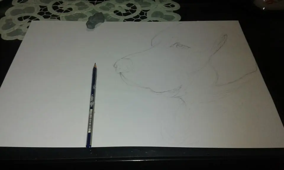 Pintando a mi perro "Arturo" (oleo)