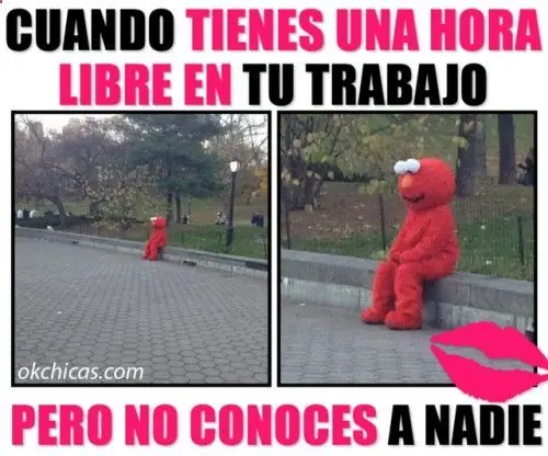 los mejores memes