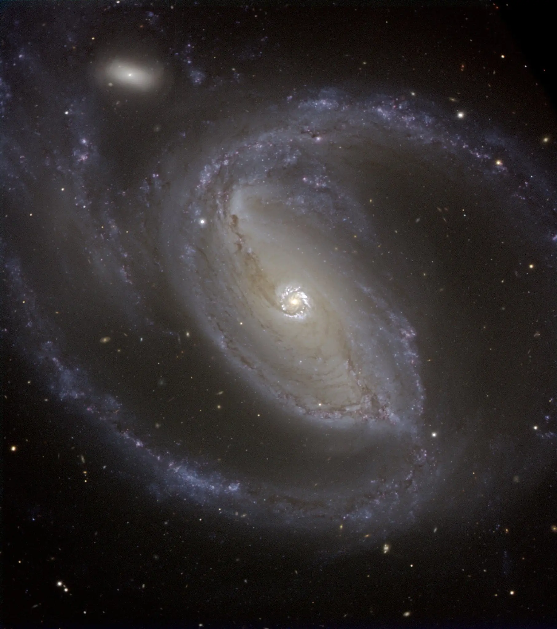 Humor para linces astronomos (9)