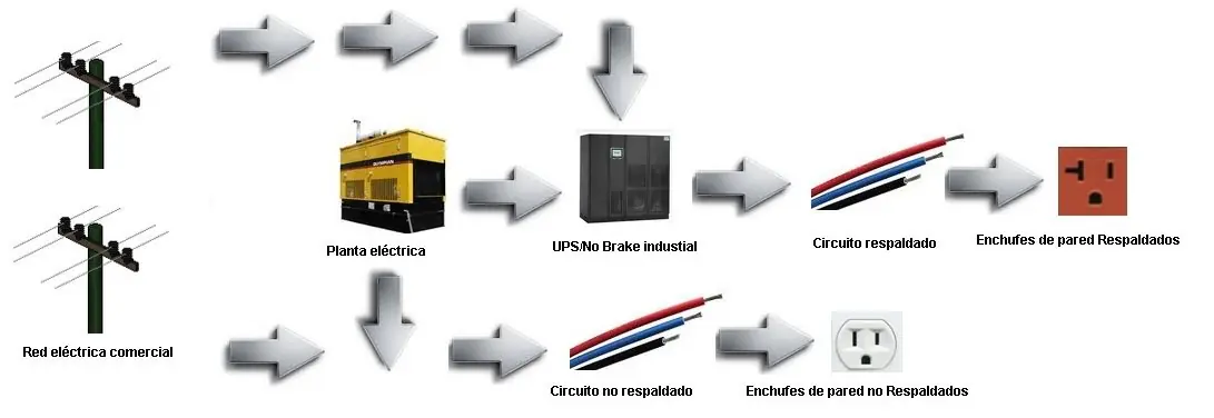 networks
