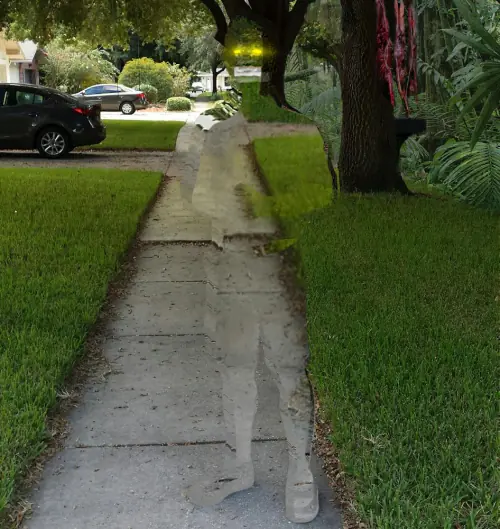 taringa memes