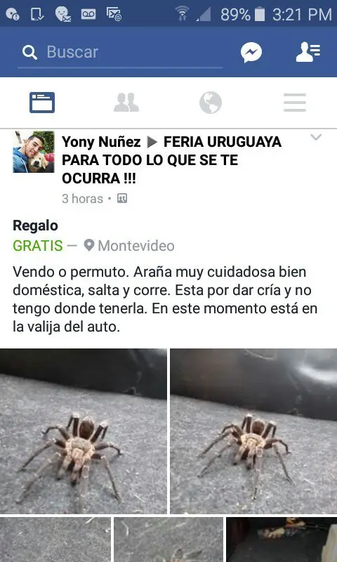 fails