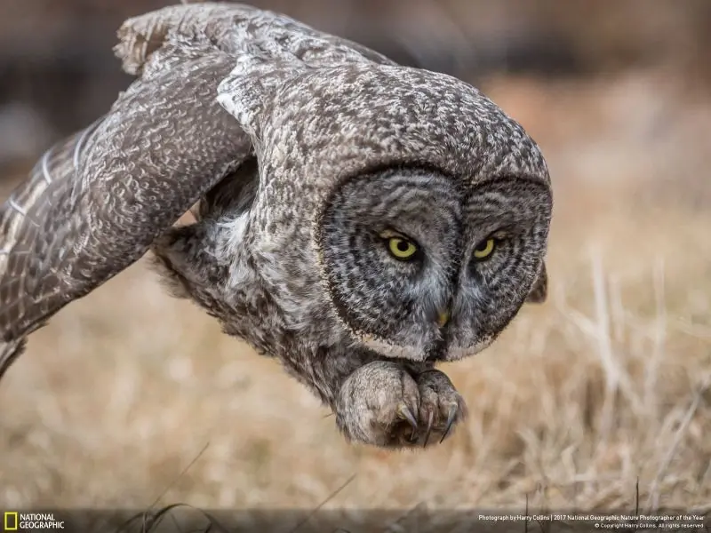 National Geographic