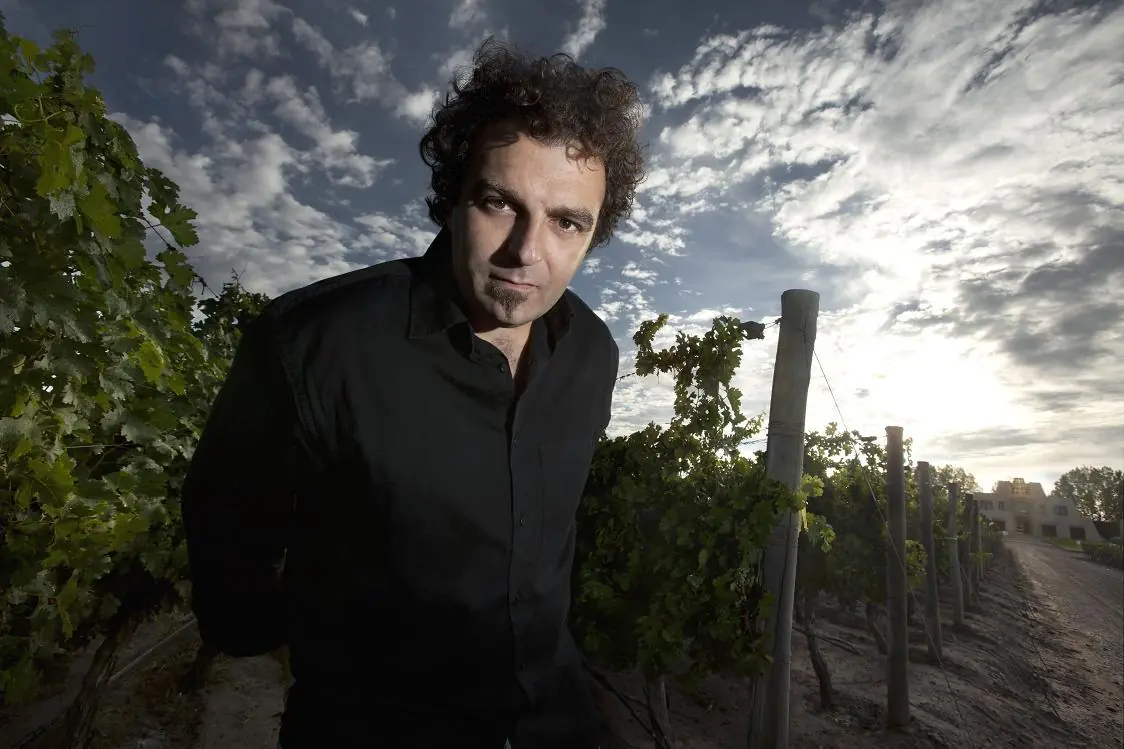 wine