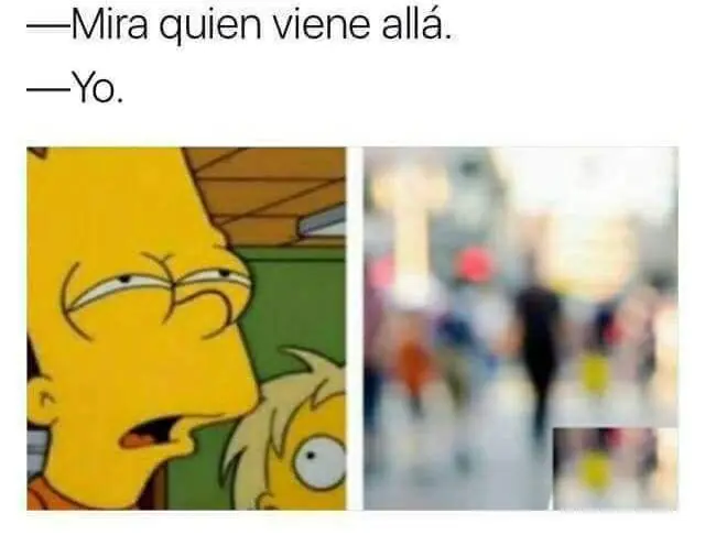 humor memes