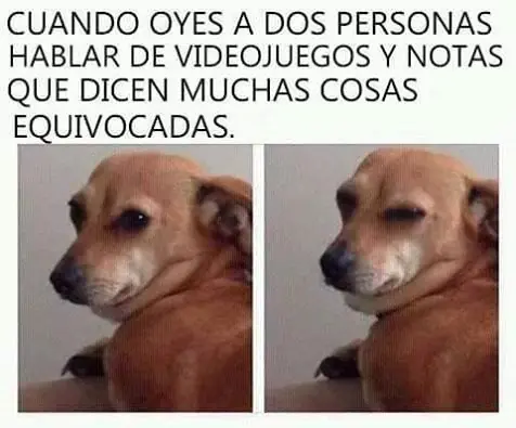 taringa memes