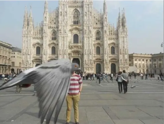 Fotografías q podrían ser perfectas pero alguien las arruino
