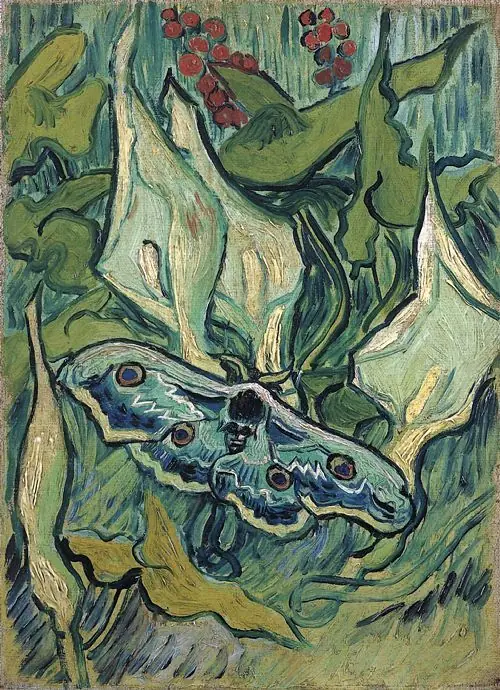vincent