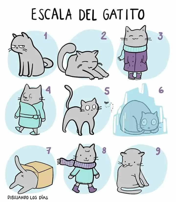 taringa memes
