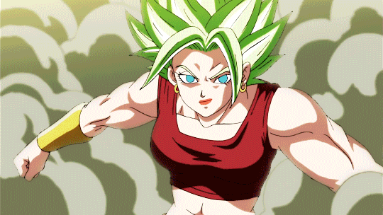 Fighter z