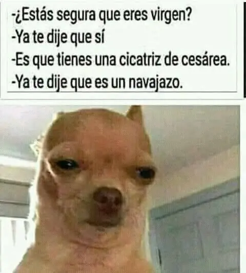 taringa memes