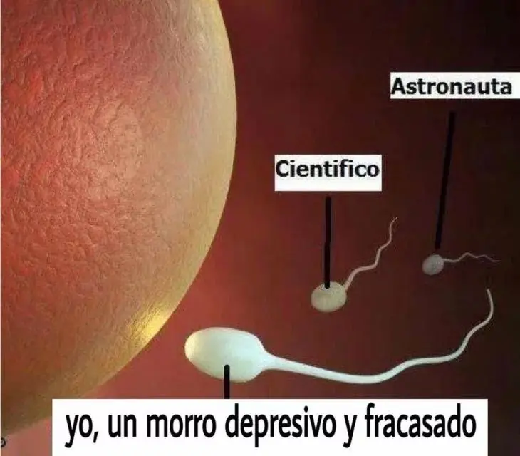 Negro