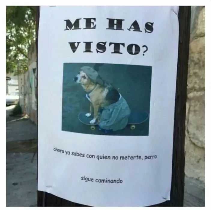 Entenderas