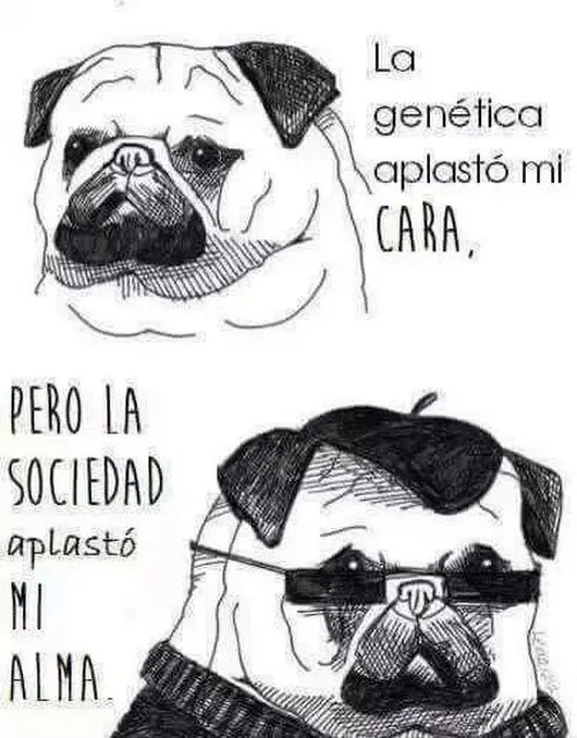 Gusta