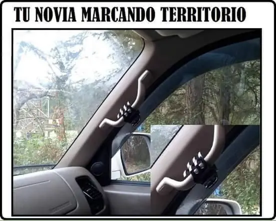 memes